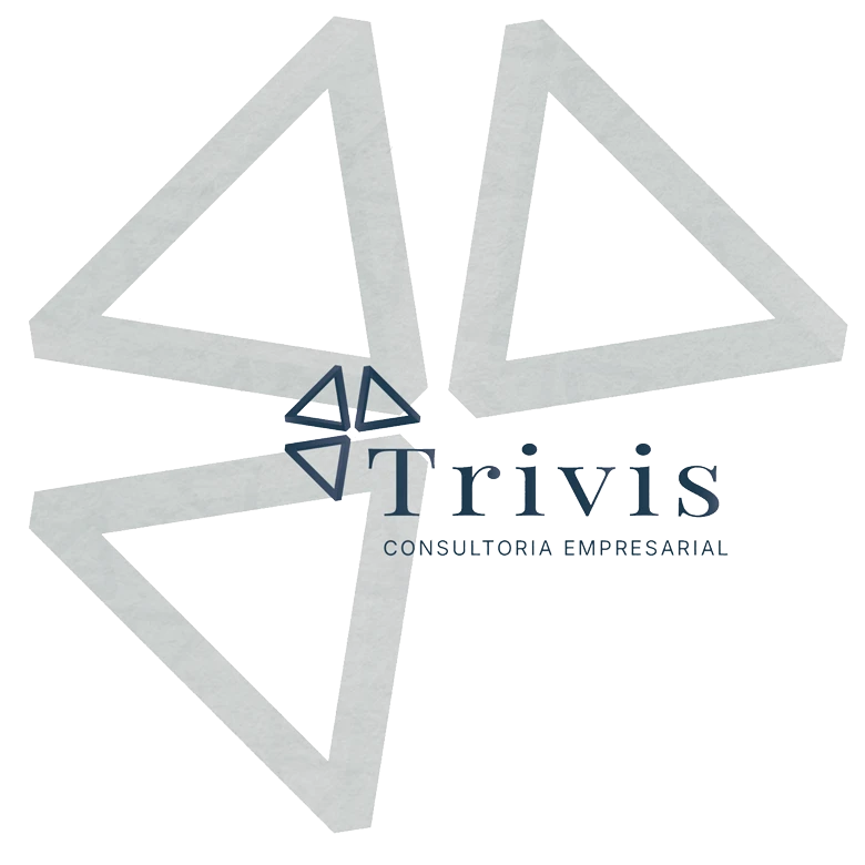 Seja um&nbsp;parceiro da Trivis
